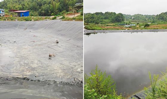 হাই পারফরম্যান্স এইচডিপিই মসৃণ জিওমেমব্রেন, ফাটলে 700% লম্বা, চমৎকার রাসায়নিক প্রতিরোধের এবং জলজ উদ্ভিদের জন্য কাস্টমাইজযোগ্য প্রস্থ