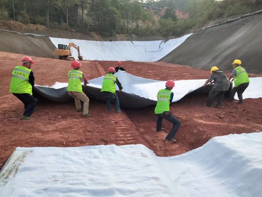 টেরাড্রেন এইচডি থ্রিডি ড্রেনেজ নেট: অপ্রতিম রাসায়নিক প্রতিরোধের এবং দীর্ঘায়ু