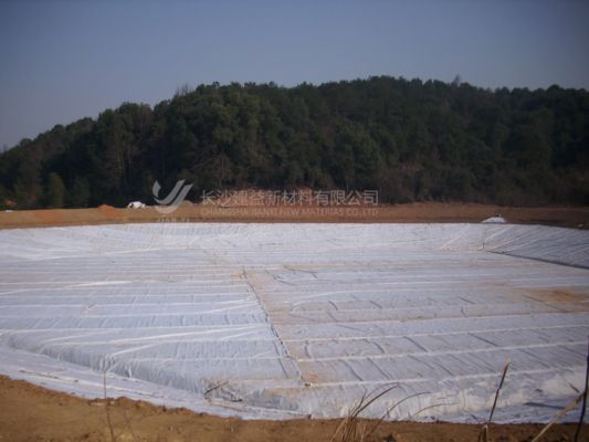 সংক্ষিপ্ত-ফাইবার জিওটেক্সটাইল: খরচ-সাশ্রয়ী ও বহুমুখী প্রকৌশল সমাধান